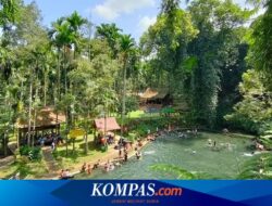 Sendang Seruni Banyuwangi: Daya Tarik, Harga Tiket, dan Jam Buka