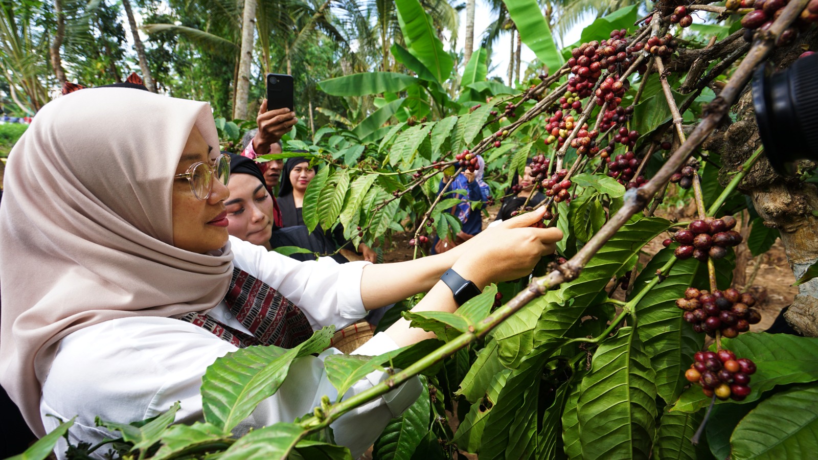 kopi-robusta-banyuwangi-diverifikasi-kemenkumham-untuk-peroleh-indikasi-geografis