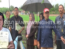 Tak Hadir Karena Sakit, Eksekusi Sawah di Kecamatan Blimbingsari Tetap Dilaksanakan
