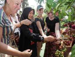 Angkat Kopi Rakyat, Banyuwangi Gelar Festival Kopi Kalibaru