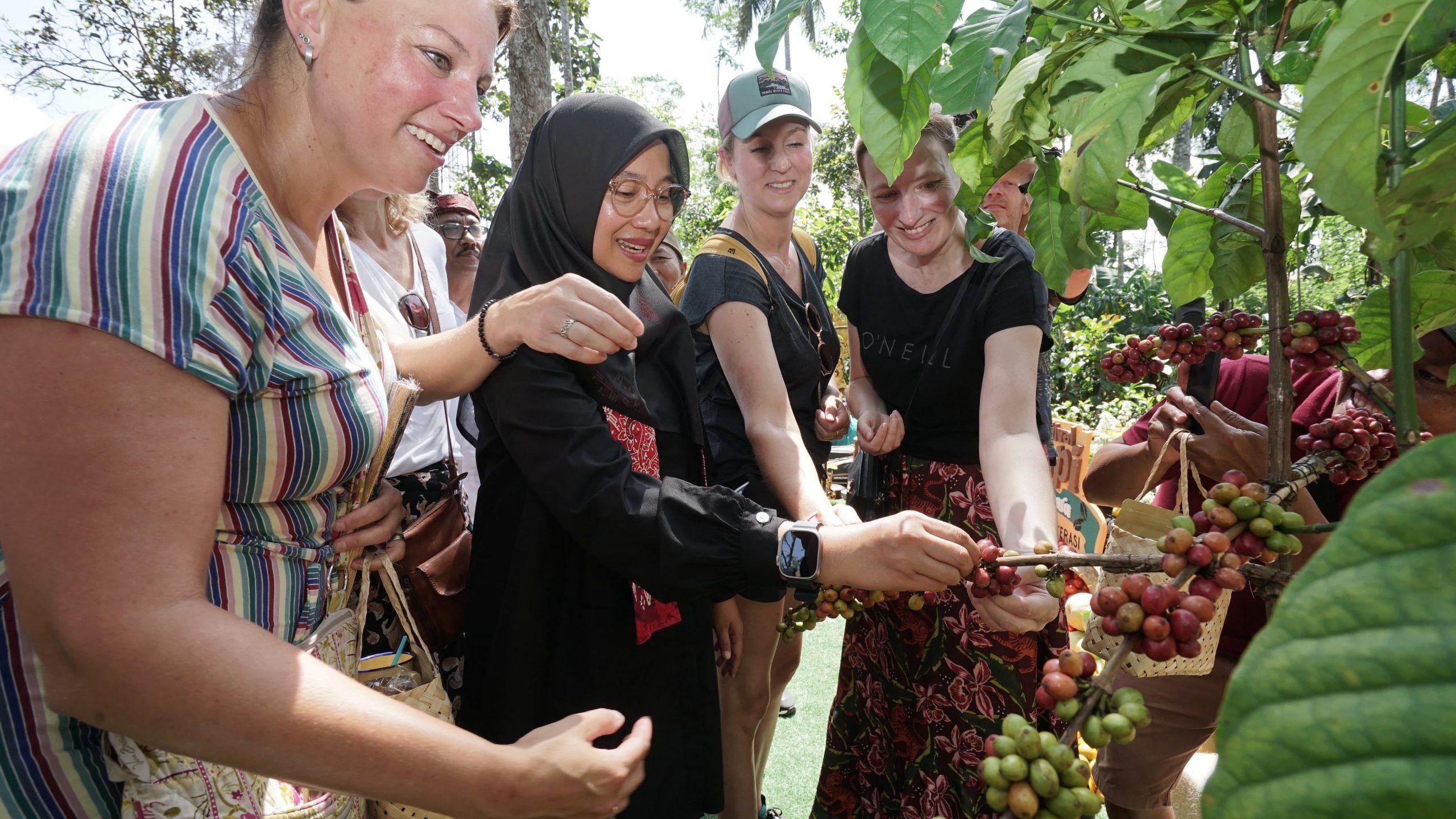 angkat-kopi-rakyat,-banyuwangi-gelar-festival-kopi-kalibaru