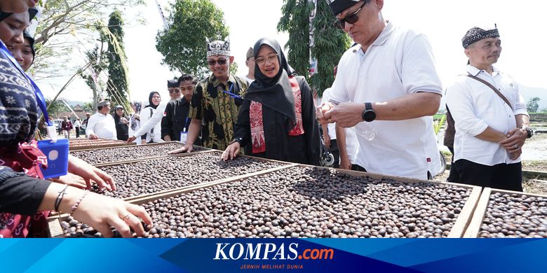 perkebunan-kopi-rakyat-di-banyuwangi-capai-9.778-hektar,-pemasaran-perlu-ditingkatkan