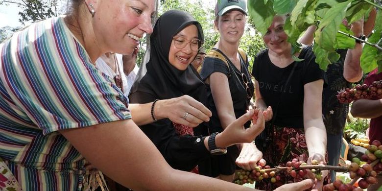 produksi-capai-10.600-ton,-pemkab-banyuwangi-promosikan-kopi-lewat-festival