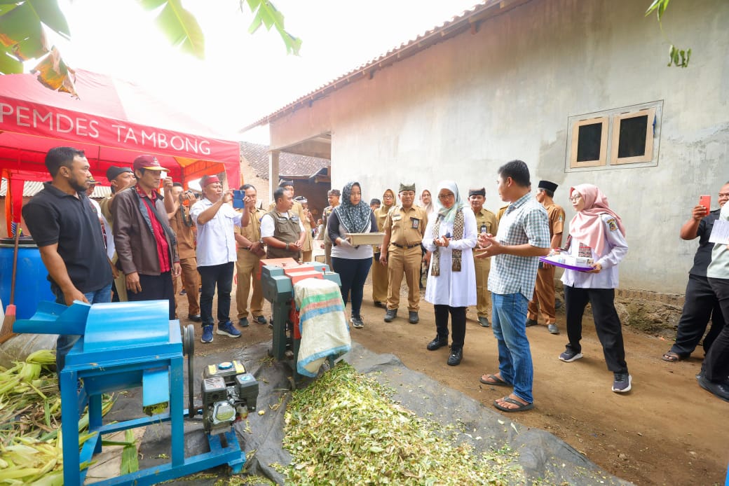 peternak-banyuwangi-dilatih-membuat-pakan-fermentasi,-lebih-tahan-lama-dan-hilangkan-bau