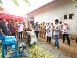 Peternak Banyuwangi Diajari Bikin Silase, Pakan Berkualitas dan Hemat Biaya