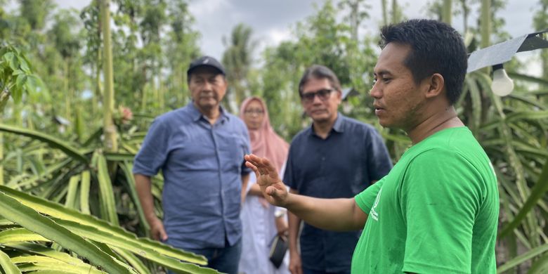 kelompok-tani-binaan-ydba-raup-omzet-ratusan-juta-rupiah-dari-buah-naga