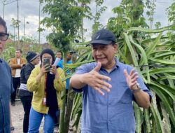 Petani di Banyuwangi Didorong untuk Hilirisasi Produk Pertanian