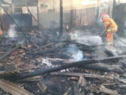Dapur dan Kandang di Banyuwangi Terbakar, Enam Ekor Kambing Mati Terpanggang