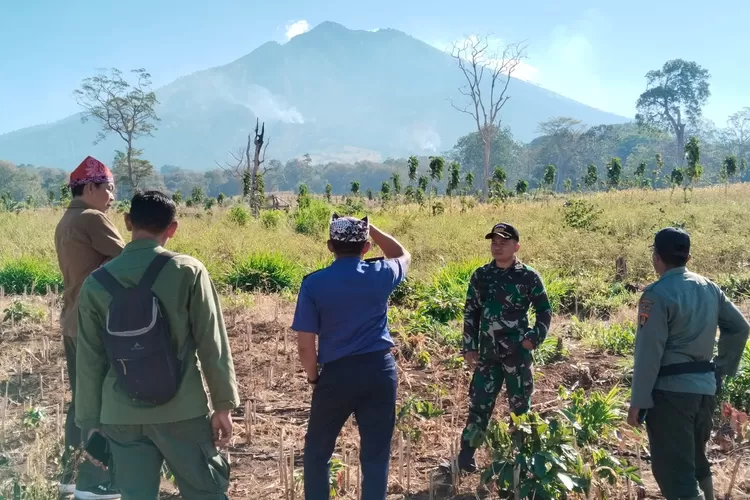analisis-bmkg-banyuwangi:-masuk-musim-kemarau,-suhu-panas-bisa-picu-kebakaran-hutan