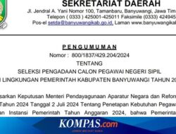 Seleksi CPNS 2024 Pemkab Banyuwangi, Ini Formasi yang Dibutuhkan