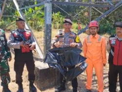 Layangan Tersangkut Tower Listrik Picu Percikan Api, Nyaris Ganggu Suplai Listrik ke Bali
