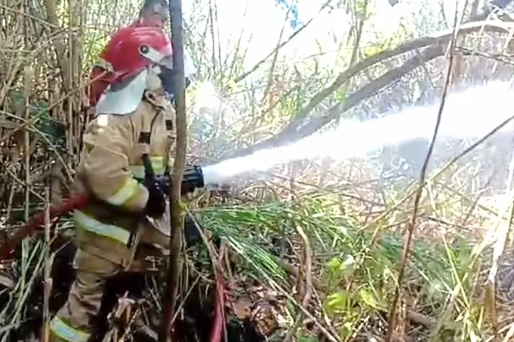 musim-kemarau-lingkungan-jadi-sentitif,-damkarmat-banyuwangi-beri-imbau-warga-tak-bakar-sampah