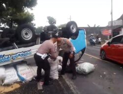 Kecelakaan Tunggal di Banyuwangi: Pick-up Terguling, Empat Orang Terluka