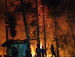 Kebakaran di Tempat Pembuangan Sampah Karangdoro Tegalsari