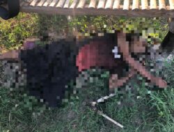 Warga Geger, Mayat Tanpa Identitas Ditemukan di Gubuk Sawah Yosomulyo