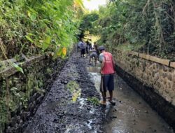 Program Padat Karya Banyuwangi Jangkau Ribuan Warga Pra Sejahtera