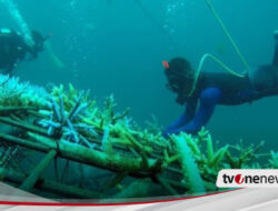 Selamatkan Perairan Selat Bali dari Kehancuran, Ikhwan Arief jadi Komandan Banser Maritim