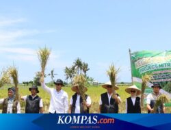 Serap Panen di Banyuwangi, Wujud Konsistensi Program Mitra Tani Perum Bulog
