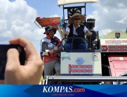 Cuaca Ekstrem, Bulog Jamin Stok Pangan Aman