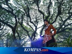Menikmati “Fashion Show” Festival Batik Motif Jenon Berlatar Hutan Djawatan Banyuwangi