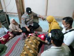Akibat Disengat Ribuan Tawon Hutan, Seorang Pekebun di Banyuwangi Tewas
