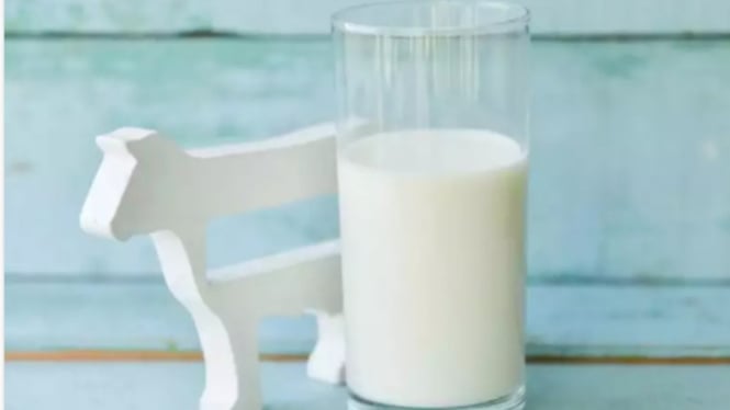 innovative-moodern-pasteurization-tech-paves-the-way-for-rural-welfare