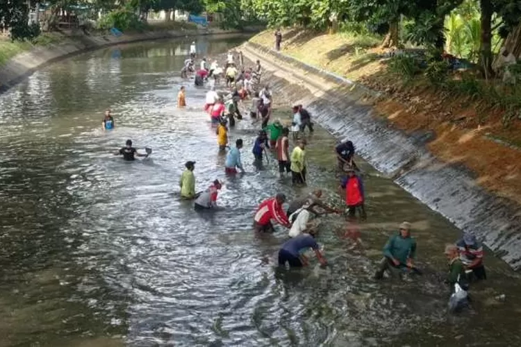 program-sekardadu-terus-berlanjut,-pengairan-dan-petani-bersihkan-sungai-bangorejo