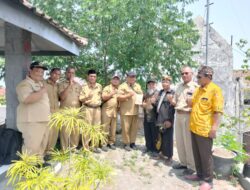 Diskusi Menguak Kembali Sejarah Kerajaan Blambangan Kuno di Muncar