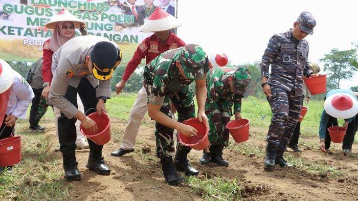 polresta-banyuwangi-dukung-program-ketahanan-pangan-lewat-penanaman-jagung-–-tribunjatim.com