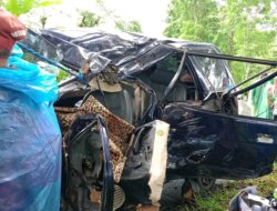 Panther Tubruk Pohon, 2 Warga Genteng Tewas di Jalur Kawah Ijen Banyuwangi