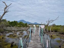 Punya Nama Unik, Desa Bengkak Ternyata Memiliki Daya Tarik Wisata Alam, Pantainya Berpasir Putih