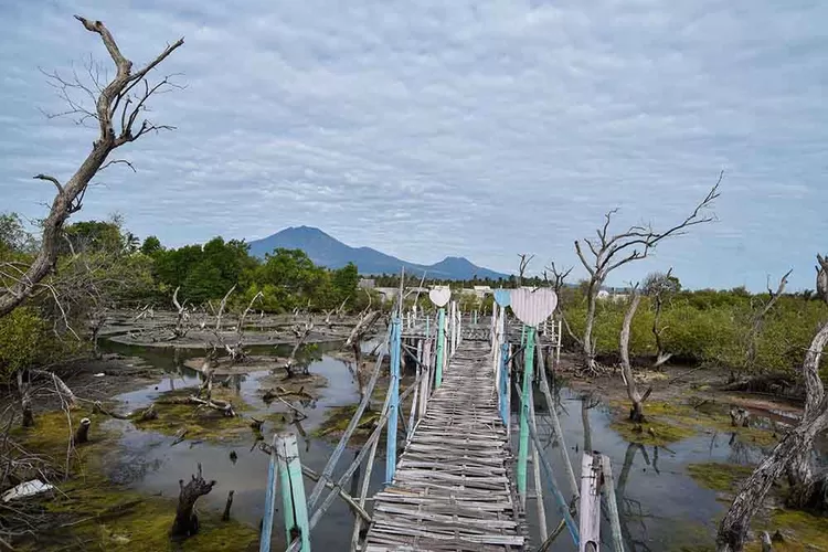 punya-nama-unik,-desa-bengkak-ternyata-memiliki-daya-tarik-wisata-alam,-pantainya-berpasir-putih