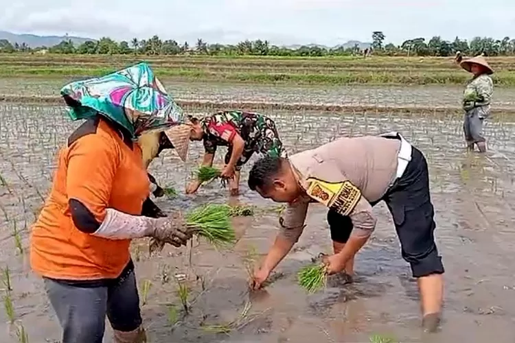 kapolresta-banyuwangi-minta-bhabinkamtibmas-ajak-masyarakat-lestarikan-ketahanan-pangan