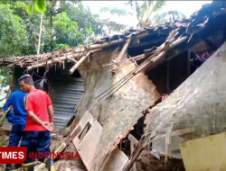 Pohon Kelapa Tumbang Akibat Angin Kencang, Hancurkan Rumah Warga Banyuwangi – TIMES Banyuwangi