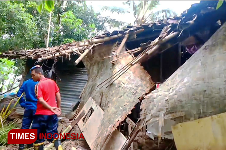 pohon-kelapa-tumbang-akibat-angin-kencang,-hancurkan-rumah-warga-banyuwangi-–-times-banyuwangi