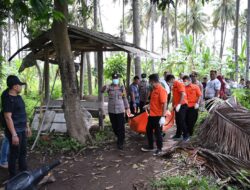 Penemuan Mayat Mr. X di Kebun Kelapa Gegerkan Warga Kalipuro