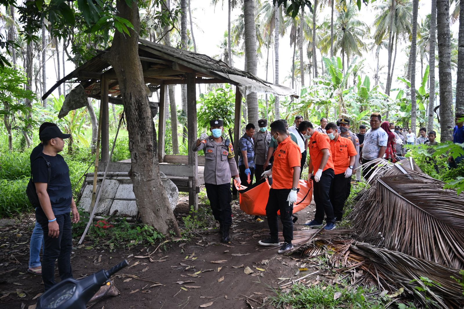 penemuan-mayat-mr.-x-di-kebun-kelapa-gegerkan-warga-kalipuro
