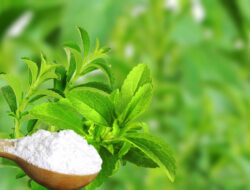 Gula Stevia, Pengganti Alami Gula Biasa: Benarkah Lebih Baik? – TIMES Banyuwangi