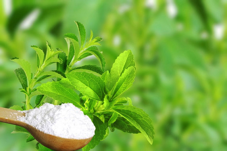 gula-stevia,-pengganti-alami-gula-biasa:-benarkah-lebih-baik?-–-times-banyuwangi