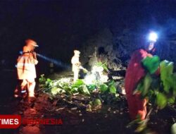 Ada 9 Titik Longsor dalam Semalam, BPBD Pacitan Bergerak Cepat – TIMES Banyuwangi