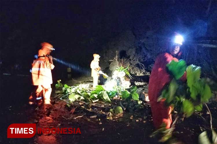 ada-9-titik-longsor-dalam-semalam,-bpbd-pacitan-bergerak-cepat-–-times-banyuwangi