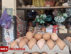 Harga Bahan Pokok di Pacitan Alami Kenaikan Jelang Nataru, Ini Penyebabnya – TIMES Banyuwangi