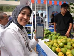 Kelompok Petani Jeruk di Curup Bengkulu Jangkau Pasar Lebih Luas Berkat Pemberdayaan BRI