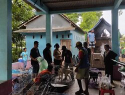 Puluhan Anjing Dilayar ke Bogor dengan Menggunakan Truk