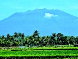 49 Pendaki Nekat ke Puncak Gunung Raung Melalui Jalur Kalibaru – Radar Banyuwangi