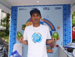 Program Klasterku Hidupku BRI Berhasil Berdayakan Petani Alpukat di Probolinggo, Intip Kisahnya!