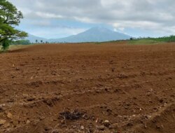 Buntut Alih Fungsi Lahan, DPRD Banyuwangi Desak Evaluasi HGU Perkebunan Kalibendo
