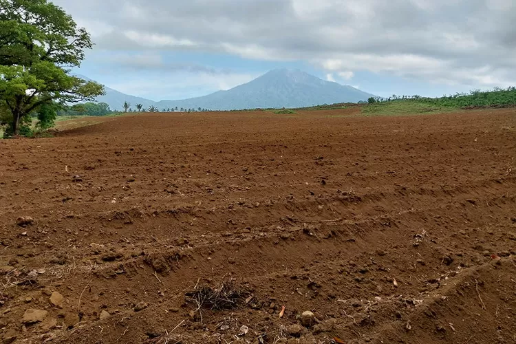 buntut-alih-fungsi-lahan,-dprd-banyuwangi-desak-evaluasi-hgu-perkebunan-kalibendo