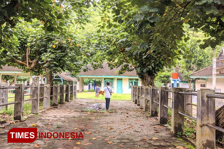 kasus-pmk-di-pacitan-mengganas,-penutupan-pasar-hewan-belum-jelas-–-times-banyuwangi