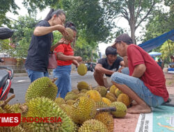 Banyuwangi Diserbu Durian Bali, Pedagang Buah Kebanjiran Rezeki – TIMES Banyuwangi